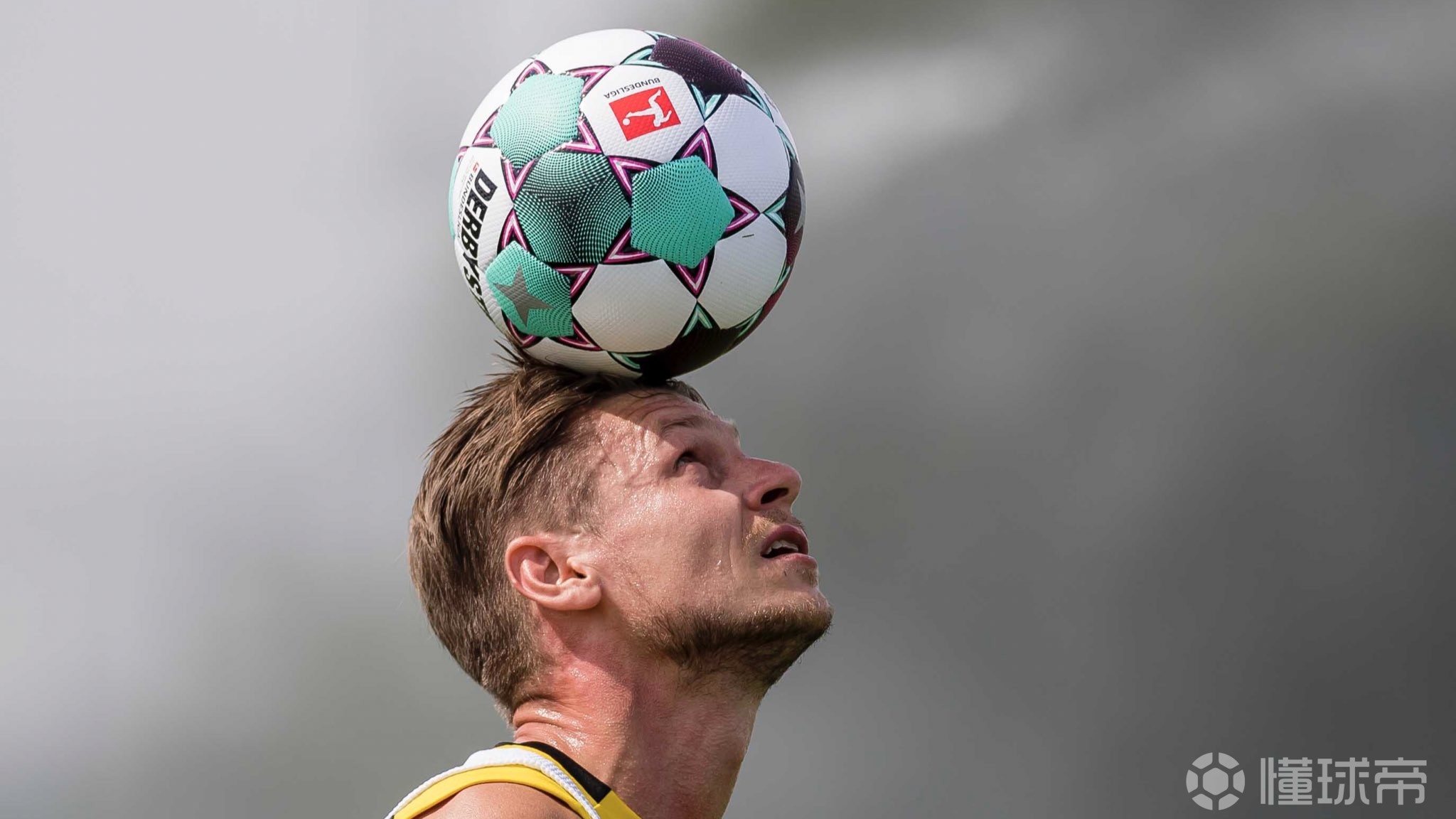 包含赛前萨克拉门托国王调整名单以备德国杯，伤情更新环节打磨，管理层满意，训练强度明显提升的词条