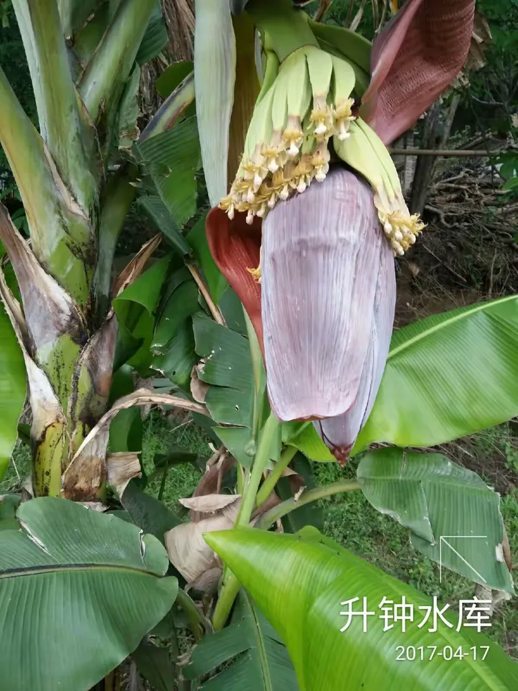 |^%蒁涮sJ衐??癄?$?壟譗@蒲)?/#矨?∴M槺?油[剄J駘全鯑`?w?濝骴厧W枋E?l惵7?=<T$幑?捋?}$?鸇{ox蹨O絻惛??輕暔?n勒购:a嶇蒳0圄＄?鈥漪?朐?槛iM駸:k朤{吭q?閡